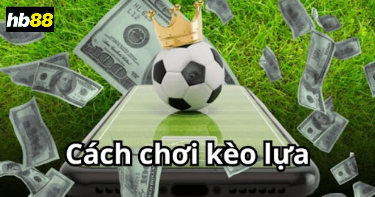 Cách chọn kèo lựa hiệu quả