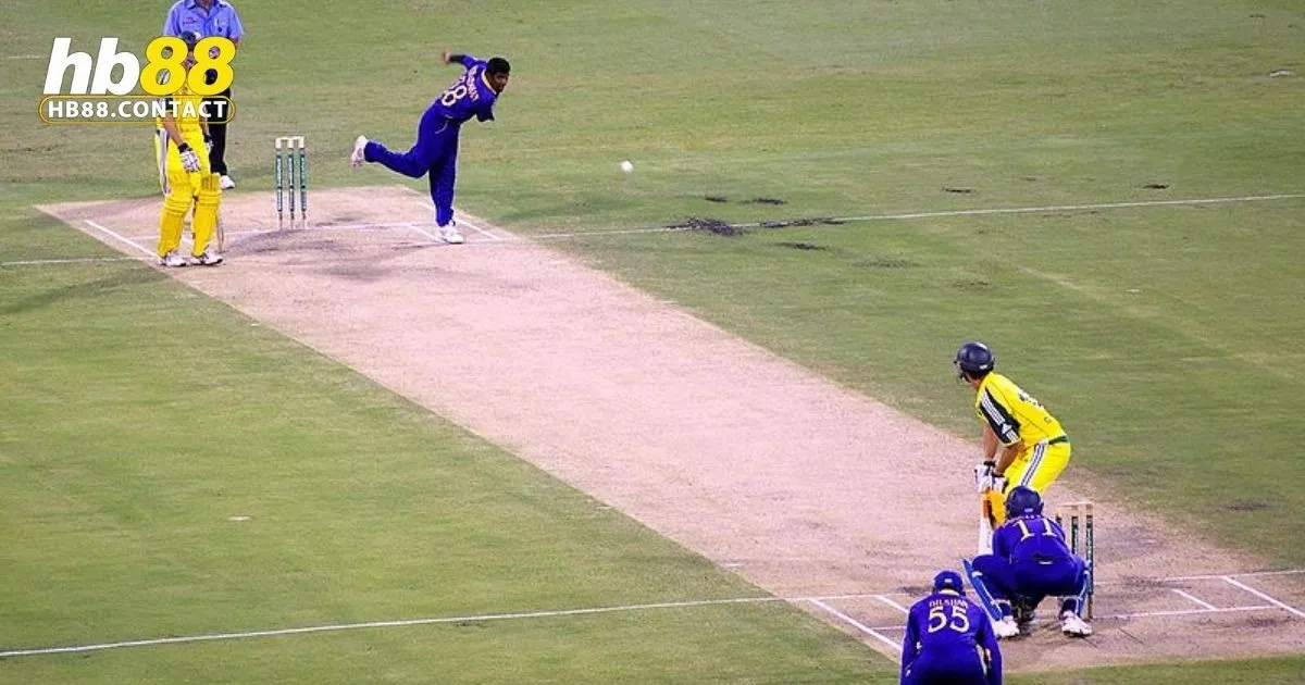 Cricket HB88: Mẹo cá cược cricket hiệu quả tại HB88