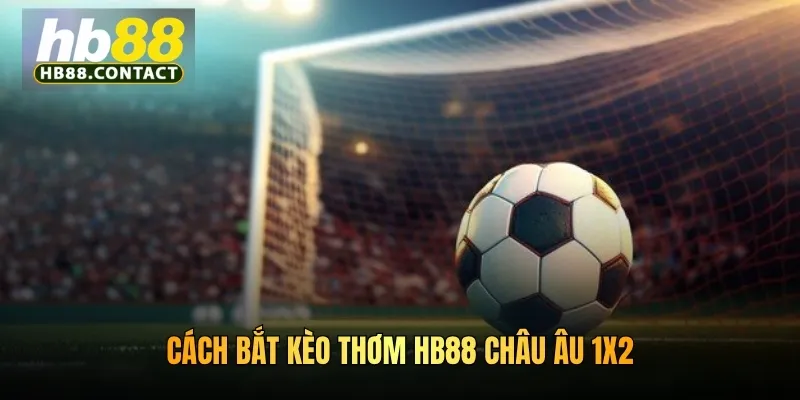 Cách bắt kèo thơm HB88 Châu Âu 1x2