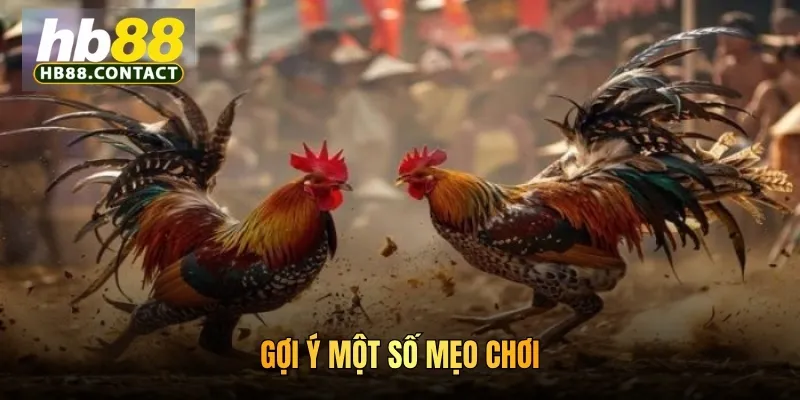 Gợi ý một số mẹo chơi