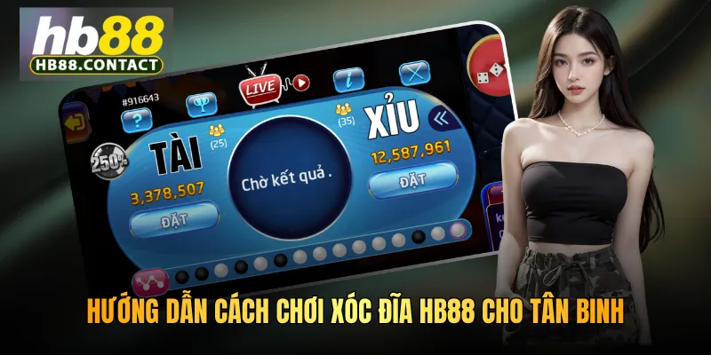Hướng dẫn cách chơi xóc đĩa HB88 cho tân binh