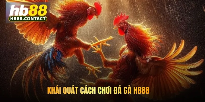 Khái quát cách chơi đá gà HB88